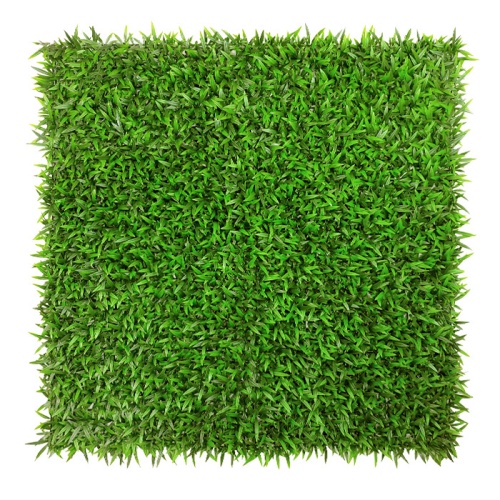 Газон “Стандарт”